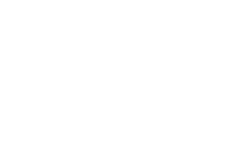 Dyrlegen Rett Hjem